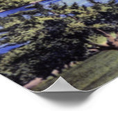 Worcester Massachusetts Green Hill Park Poster (Ecke)