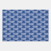Wordmark-Logo der Universität Ost-Illinois Geschenkpapier Set (Vorderseite)