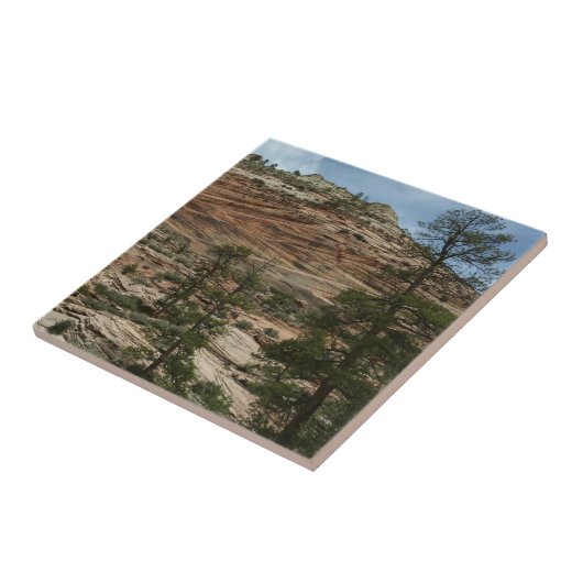 Work Rock Walls im Zion Nationalpark Fliese (Seite)