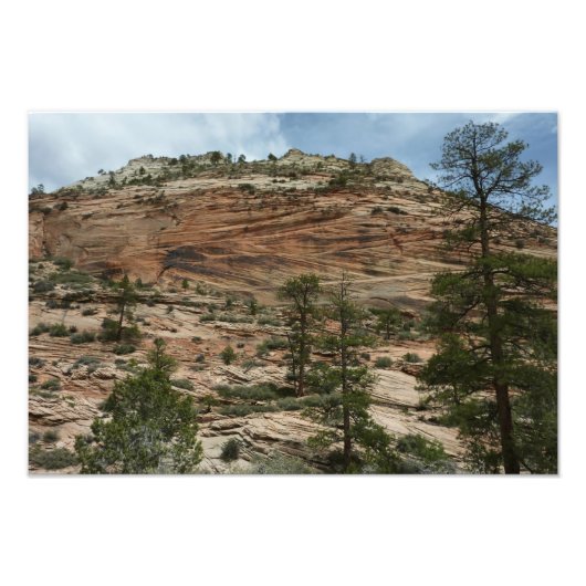 Work Rock Walls im Zion Nationalpark Fotodruck (Vorne)