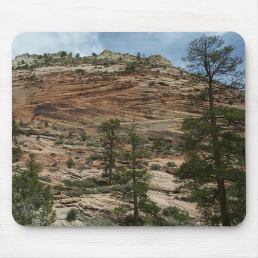 Work Rock Walls im Zion Nationalpark Mousepad (Vorne)