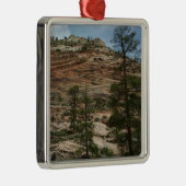 Work Rock Walls im Zion Nationalpark Ornament Aus Metall (Rechts)