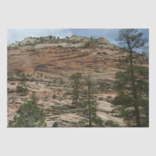 Work Rock Walls im Zion Nationalpark Seidenpapier