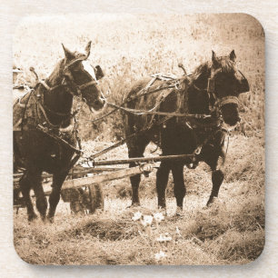 Working Amish Horses Sepia Getränkeuntersetzer