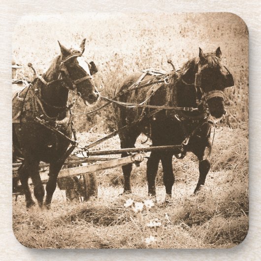 Working Amish Horses Sepia Getränkeuntersetzer (Vorderseite)