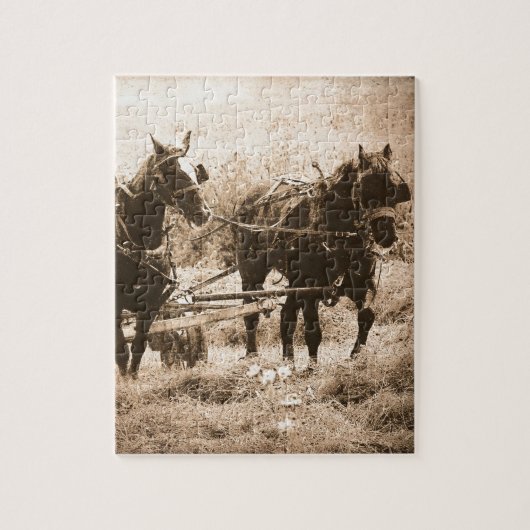 Working Amish Horses Sepia Puzzle (Vertikal)