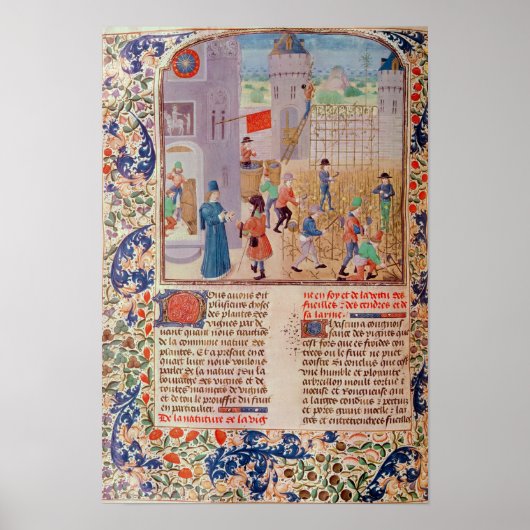 Working in the Vineyard Poster (Vorne)