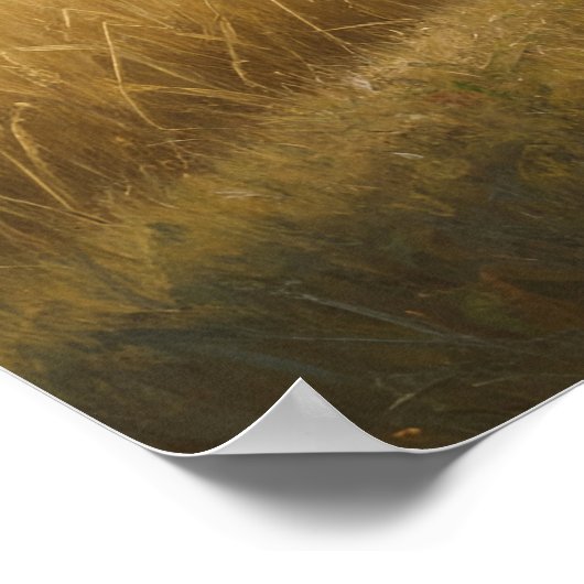 Working Women Poster (Ecke)