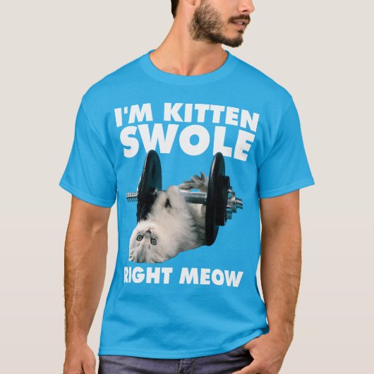 Workout - Cat - Ich bin Kitten Swole gleich. T-Shirt (Vorderseite)