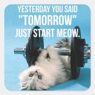 Workout Funny Motivation - Katze - Meetings starte Quadratischer Aufkleber