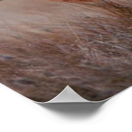 Workout Motivierend Poster (Ecke)