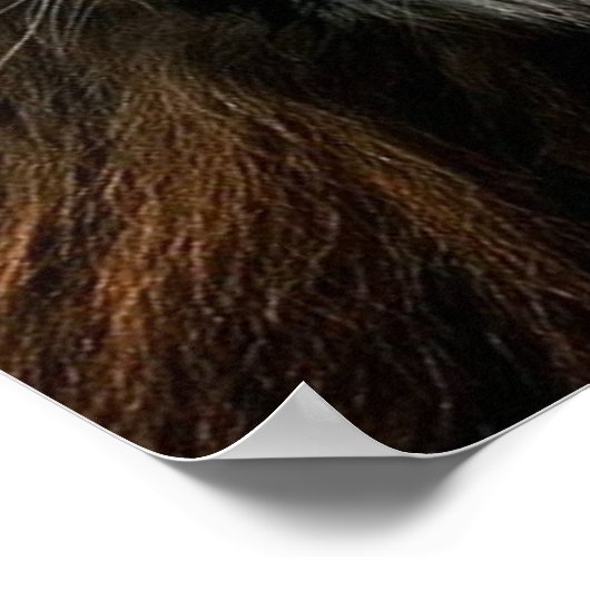 Workout Motivierend Poster (Ecke)