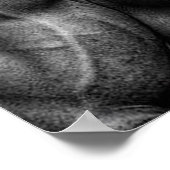 Workout Motivierend Poster (Ecke)