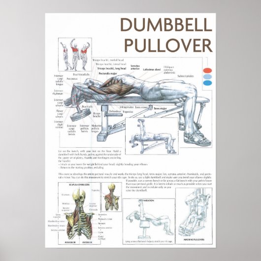 Workout Motivierend Poster (Vorne)