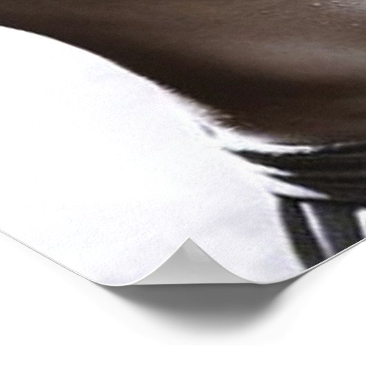 Workout Motivierend Poster (Ecke)