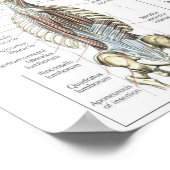 Workout Motivierend Poster (Ecke)