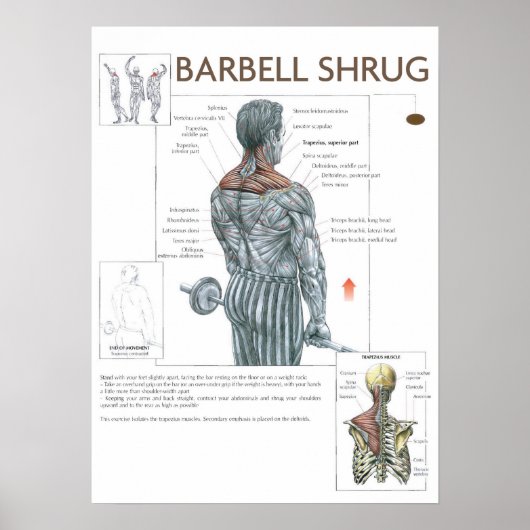 Workout Motivierend Poster (Vorne)