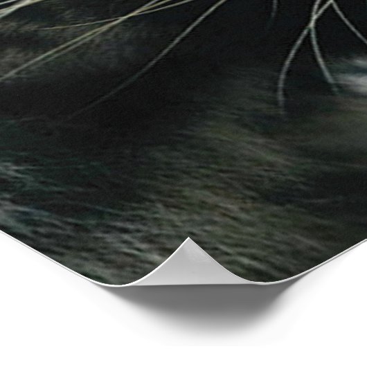 Workout Motivierend Poster (Ecke)