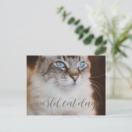 world Cat Day Postcard Postkarte (Stehend Vorderseite)