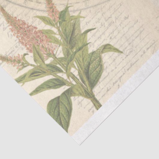 World Ephemere Decoupage Tissue Paper Seidenpapier (Ausschnitt)