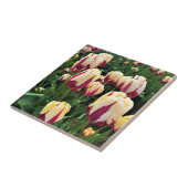 World Expression Tulips, Oregon Fliese (Seite)