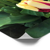 World Expression Tulips, Oregon Poster (Ecke)