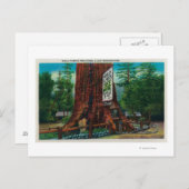 World Famous Tree House, Lilley Redwood Park Postkarte (Vorne/Hinten)