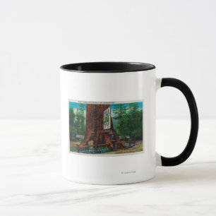 World Famous Tree House, Lilley Redwood Park Tasse
