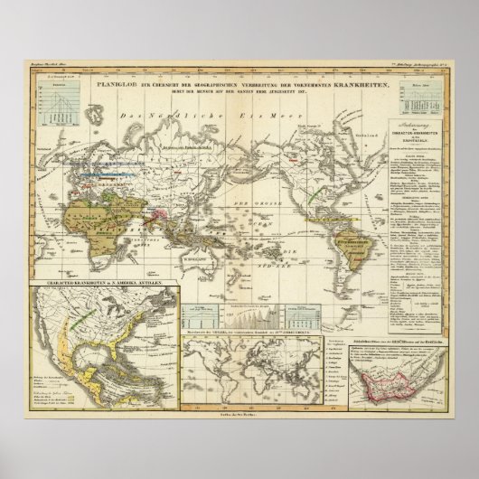 World Map of Diseases Poster (Vorne)