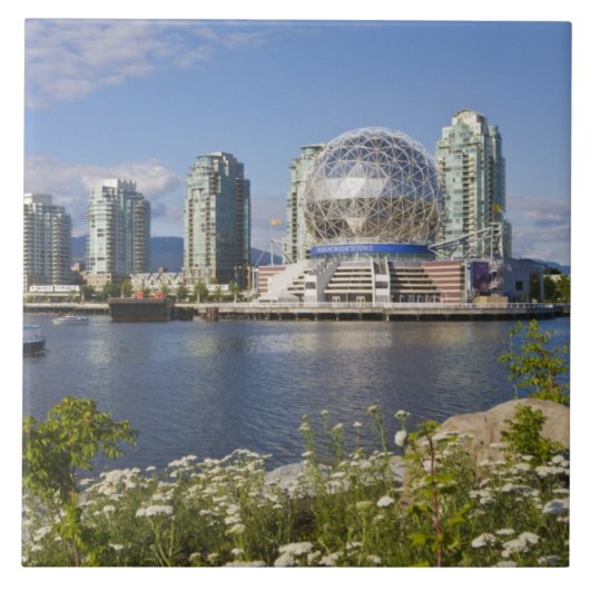 World of Science, Vancouver, British Columbia, Fliese (Vorderseite)