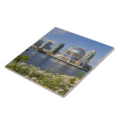 World of Science, Vancouver, British Columbia, Fliese (Seite)