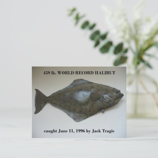 World Record Halibut gefangen im niederländischen Postkarte (Stehend Vorderseite)