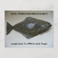 World Record Halibut gefangen im niederländischen