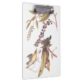 Worm Eating Warbler Audubon Singvogel Klemmbrett (Rechts)