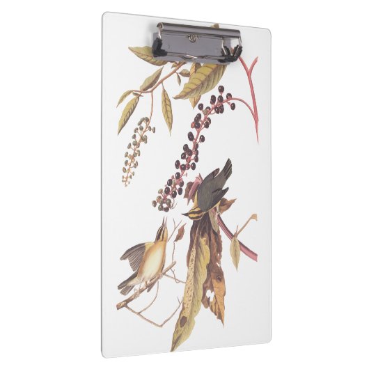 Worm Eating Warbler Audubon Singvogel Klemmbrett (Rechts)