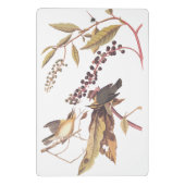 Worm Eating Warbler Audubon Singvogel Mini Klemmbrett (Rückseite)