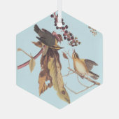 Worm Eating Warbler Audubon Singvogel Ornament Aus Glas (Rückseite)