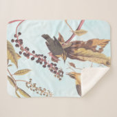Worm Eating Warbler Audubon Singvogel Sherpadecke (Vorderseite (Horizontal))