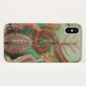 Worms, Annelids Chaetopoda von Ernst Haeckel Case-Mate iPhone Hülle (Rückseite (Horizontal))