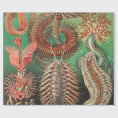 Worms, Annelids Chaetopoda von Ernst Haeckel Geschenkpapier (Flach)