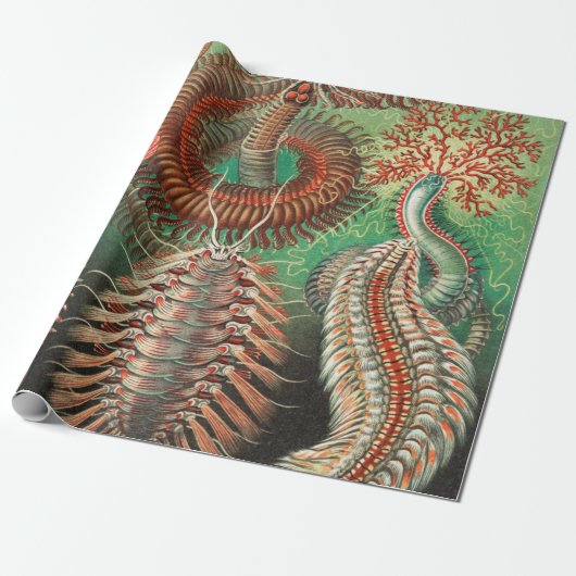 Worms, Annelids Chaetopoda von Ernst Haeckel Geschenkpapier (Ungerollt)
