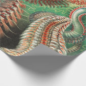 Worms, Annelids Chaetopoda von Ernst Haeckel Geschenkpapier (Ecke)