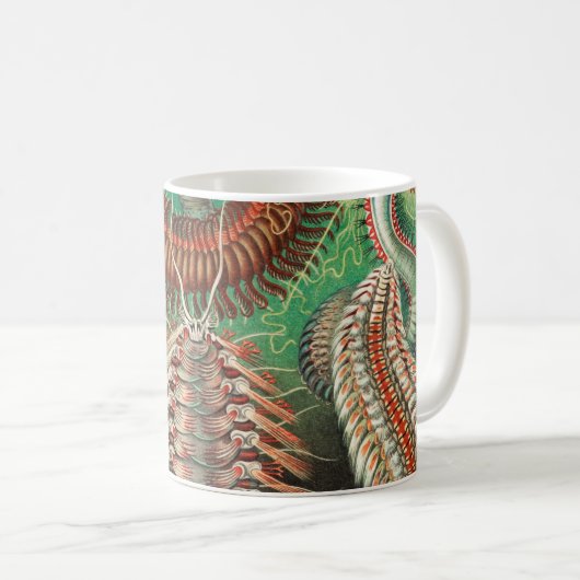 Worms, Annelids Chaetopoda von Ernst Haeckel Kaffeetasse (VorderseiteRechts)