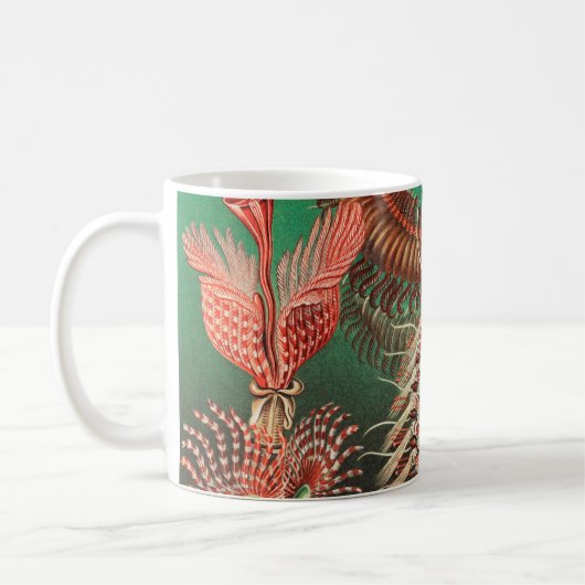 Worms, Annelids Chaetopoda von Ernst Haeckel Kaffeetasse (Links)