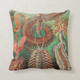 Worms, Annelids Chaetopoda von Ernst Haeckel Kissen
