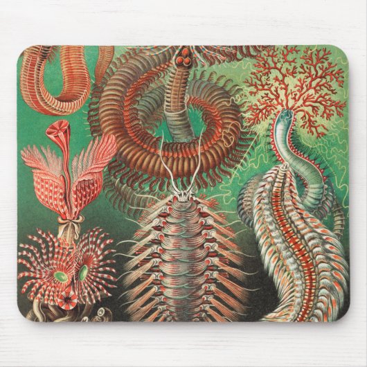 Worms, Annelids Chaetopoda von Ernst Haeckel Mousepad (Vorne)