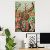 Worms, Annelids Chaetopoda von Ernst Haeckel Poster (Heimbüro)