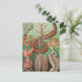 Worms, Annelids Chaetopoda von Ernst Haeckel Postkarte (Stehend Vorderseite)