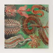 Worms, Annelids Chaetopoda von Ernst Haeckel Puzzle (Horizontal)