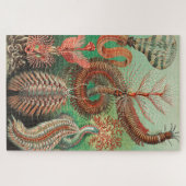 Worms, Annelids Chaetopoda von Ernst Haeckel Puzzle (Horizontal)